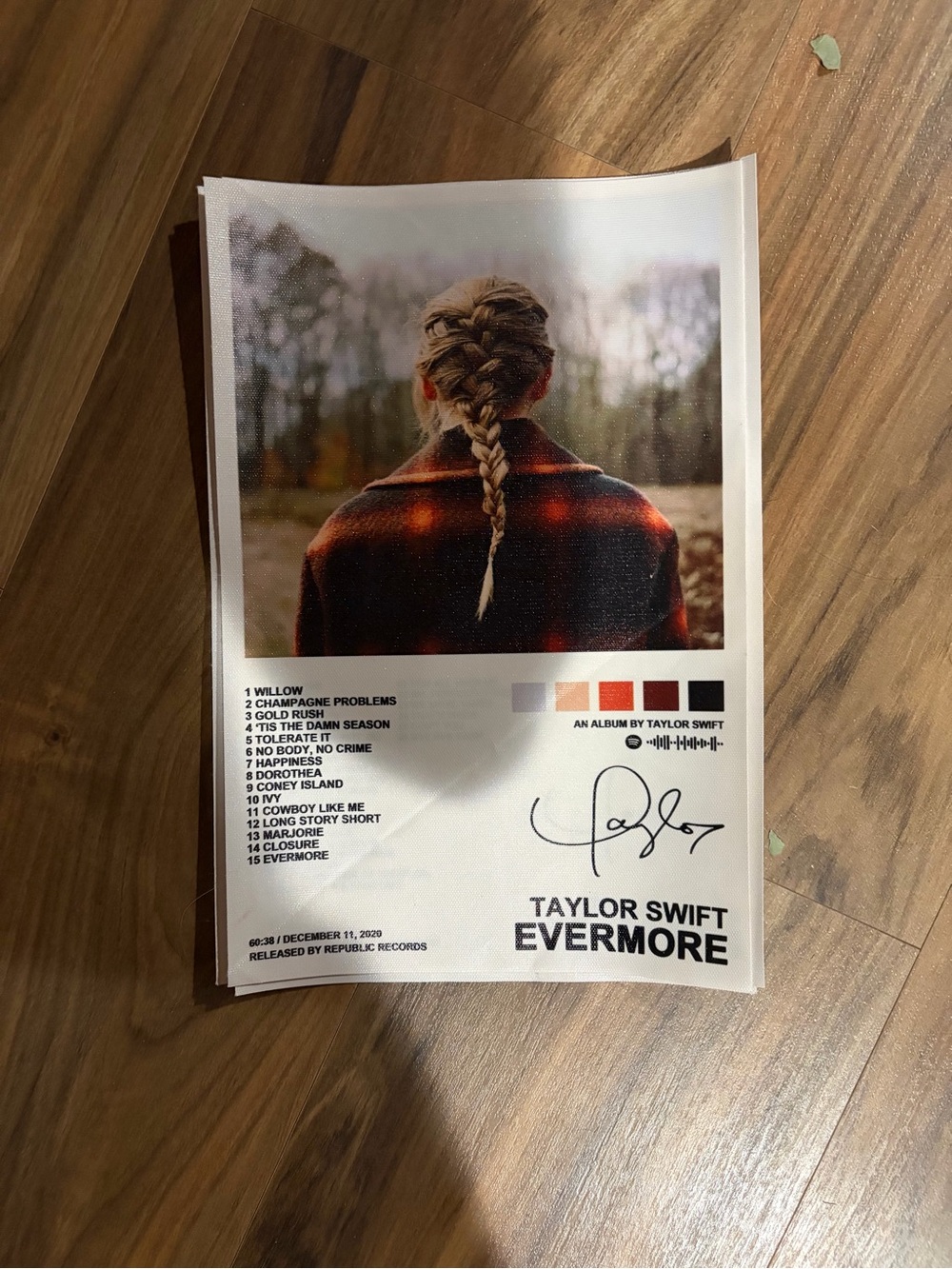 Taylor Swift Brown Plaid Coat Poster - Evermore